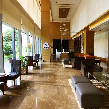 Sayaji Raipur 